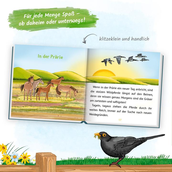 Actual product image My Tiny Little Horse Story Children's Book multicoloured (2021)
