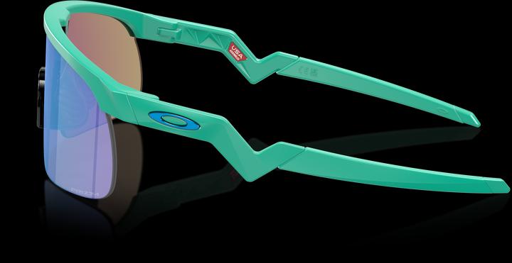 Actual product image Oakley Resistor (Mat Celeste, Prizm Sapphire)