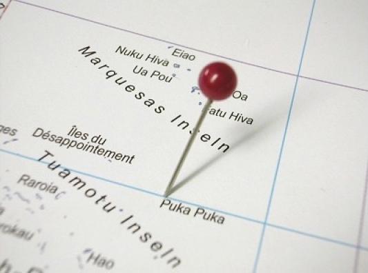 Actual product image Alco Map and marking needles (100 Piece, 16 mm)