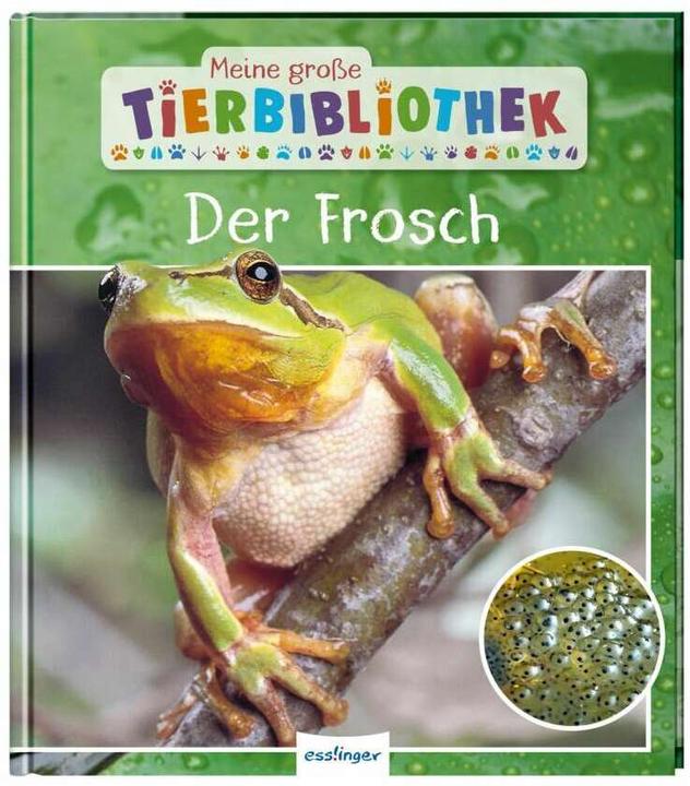 Produktbild Meine grosse Tierbibliothek: Der Frosch (Deutsch, Paul Starosta, 2020)
