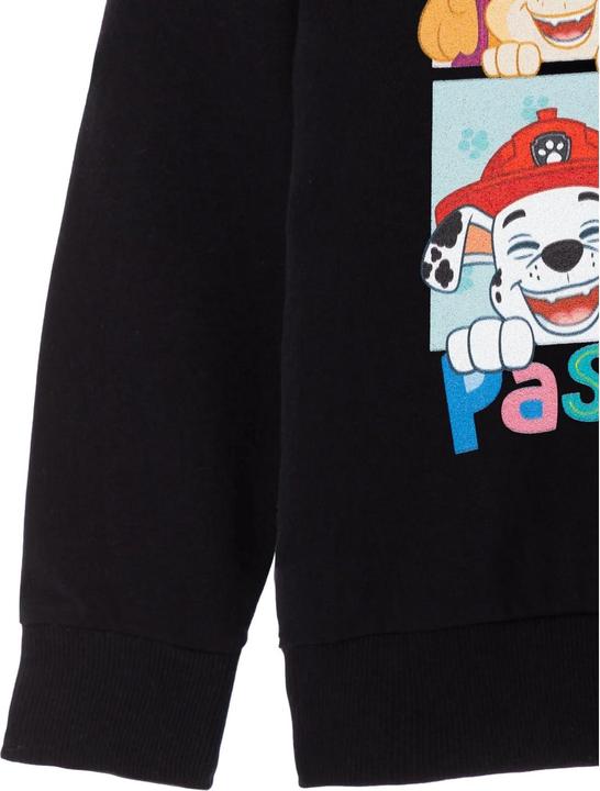 Produktbild Paw Patrol Smile And Pass It On Kapuzenpullover Mädchen (104)