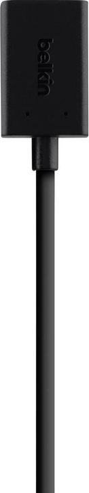 Image du produit Belkin Câble HDMI - D-Sub (VGA) + jack 3,5 mm long de 0,15 m (B2B137-BLK) (0.10 m, VGA, HDMI)