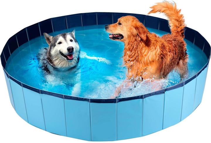 Image du produit Champ Grande piscine pour chiens (Piscine pour chiens)