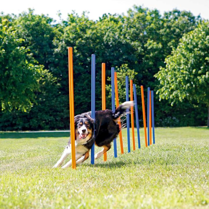 Immagine prodotto Trixie Slalom di agilità divertente (Destrezza)