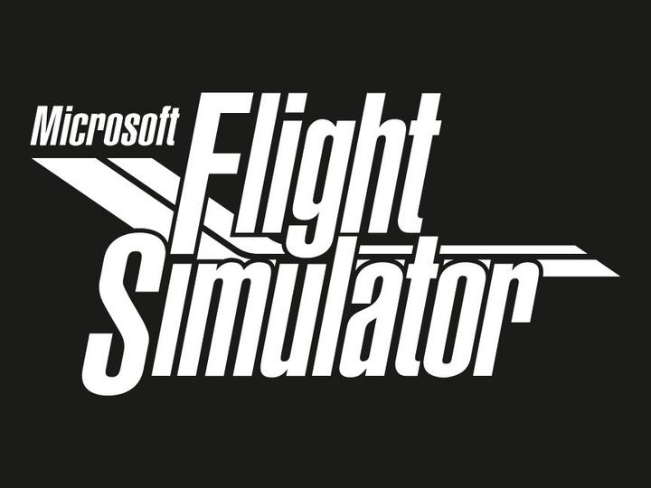 Actual product image Microsoft Flight Simulator (PC, EN)