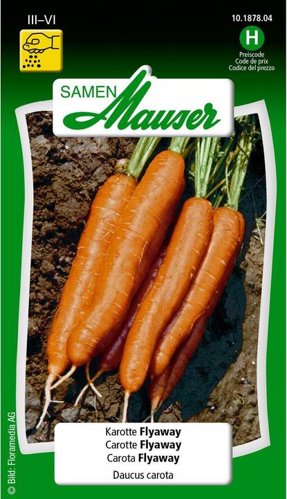 Samen Mauser Carrot Flyaway (Vegetable seeds)