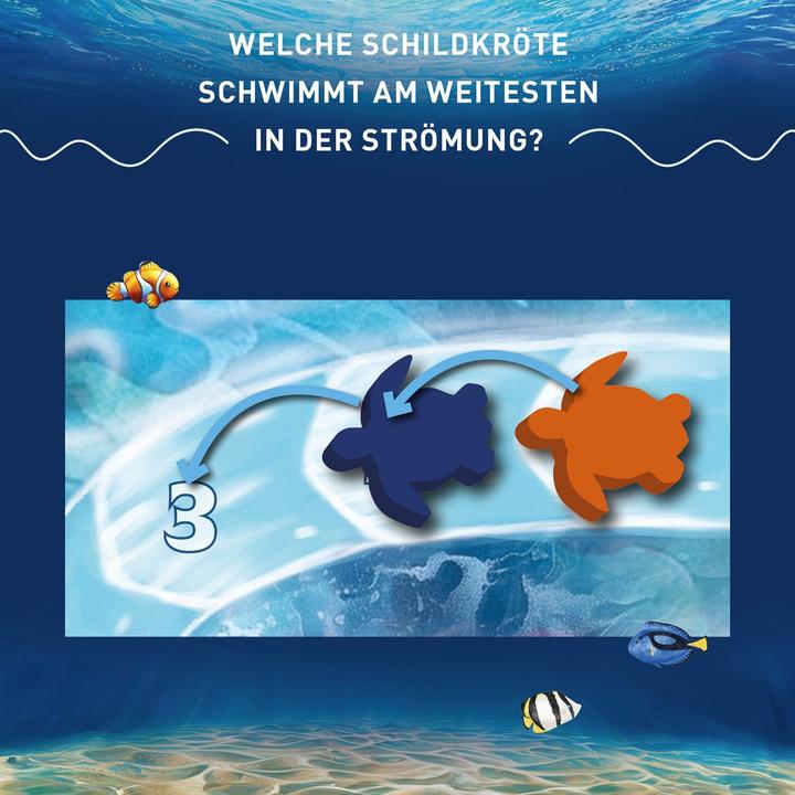 Produktbild Kosmos Australis (Deutsch)