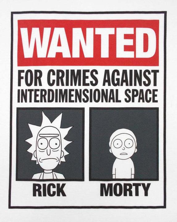 Actual product image Rick And Morty Tshirt (L)