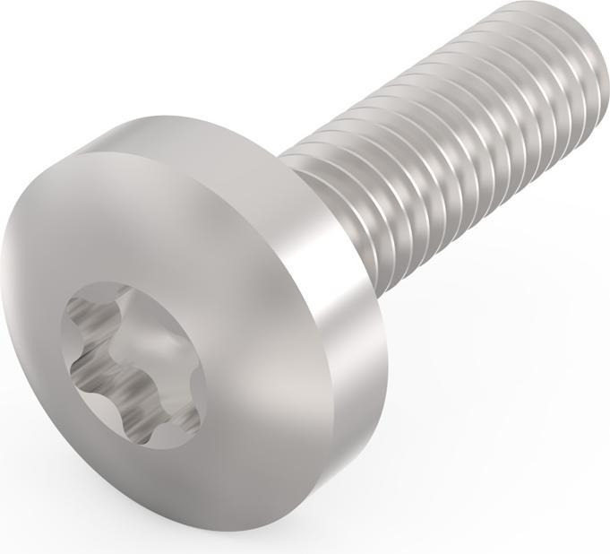 Actual product image Schroff Torx pan head screw - NTS TORXSCHR M4X14 (10pcs)