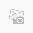 Actual product image MediaShop Window Buddy (1 pcs.)
