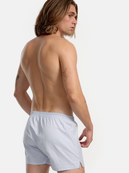 Immagine prodotto DIM Boxer Webshorts (L, Confezione singola)