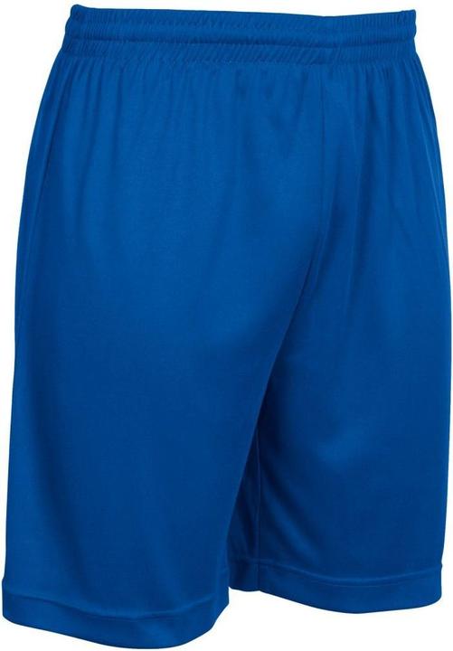 Actual product image Stanno Field Shorts (140)