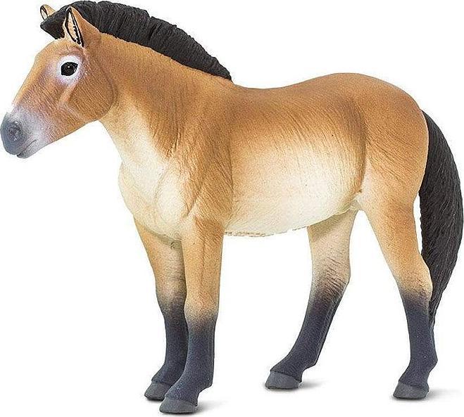 Actual product image Safari Przewalski horse