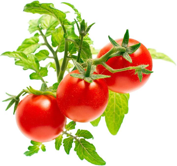 Image du produit Click and Grow Mini-tomates (Graines de légumes)