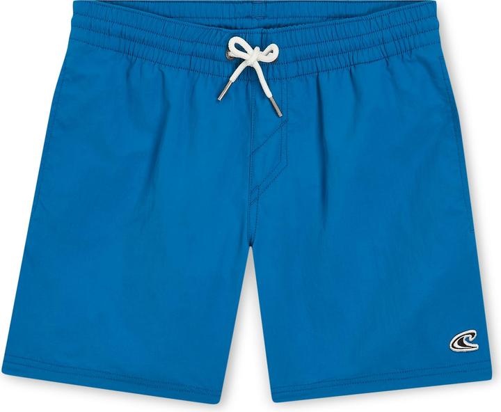 Actual product image O'Neill VERT 14" SWIM SHORTS (128)
