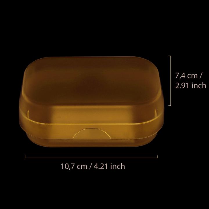 Actual product image Parsa Beauty Parsa Flair Soap Tin, blue