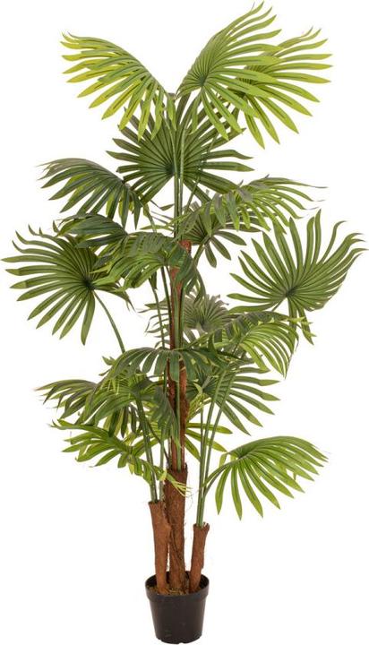 Europalms Palmier éventail, plante artificielle, 165cm