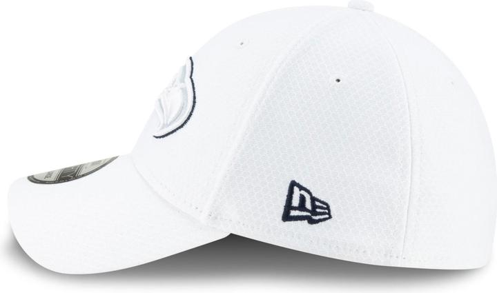 Actual product image New Era 39Thirty Stretchfit NFL Platinum Sideline (S, M)