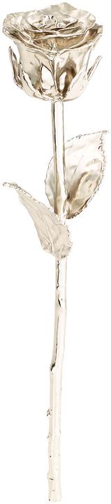 Produktbild St. Leonhard Echte Rose für immer schön: mit Platin-Veredelung, 28 cm