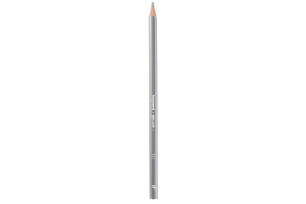 Image du produit Bruynzeel Crayon de couleur Colorexpress (Argent, 12 x)
