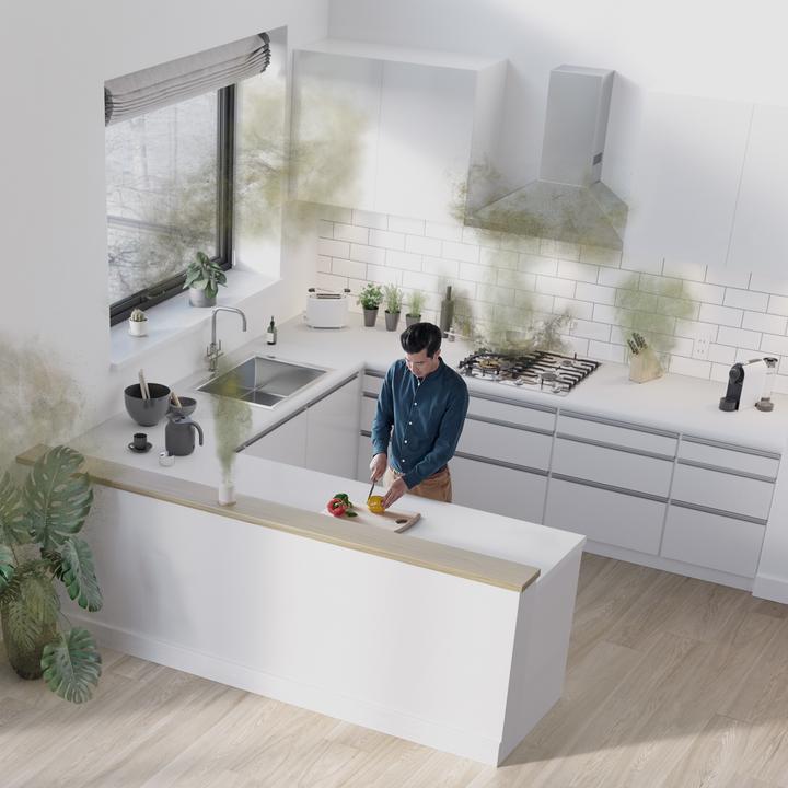 Actual product image Dyson Purifier Cool TP10 (27 m²)