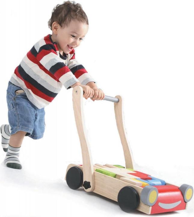 Actual product image Plantoys Baby Walk Help