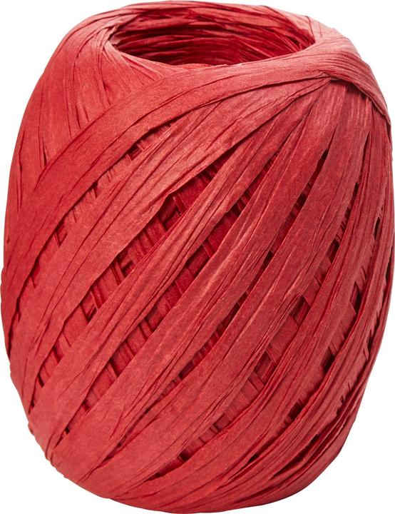 micasa Paper Raffia (Ruban)