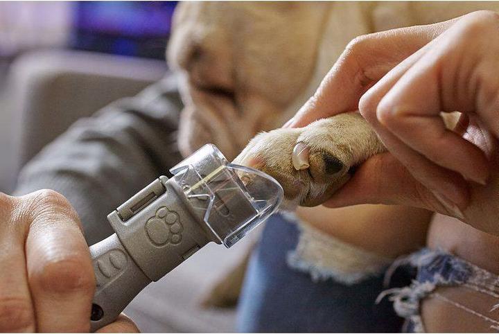 Produktbild Dremel Krallenpflegeset für Haustiere (Hund)