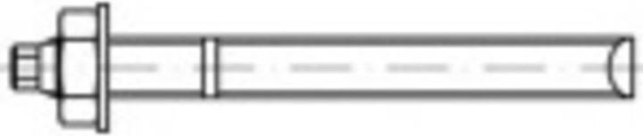 Actual product image Conrad Components Anchor rod (10 pcs.)
