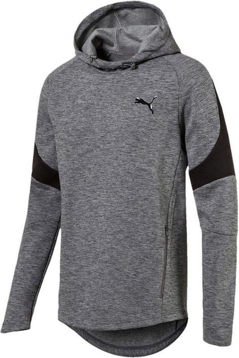 Image du produit Puma Sweat à capuche à capuche Evostripe Hoody (L)