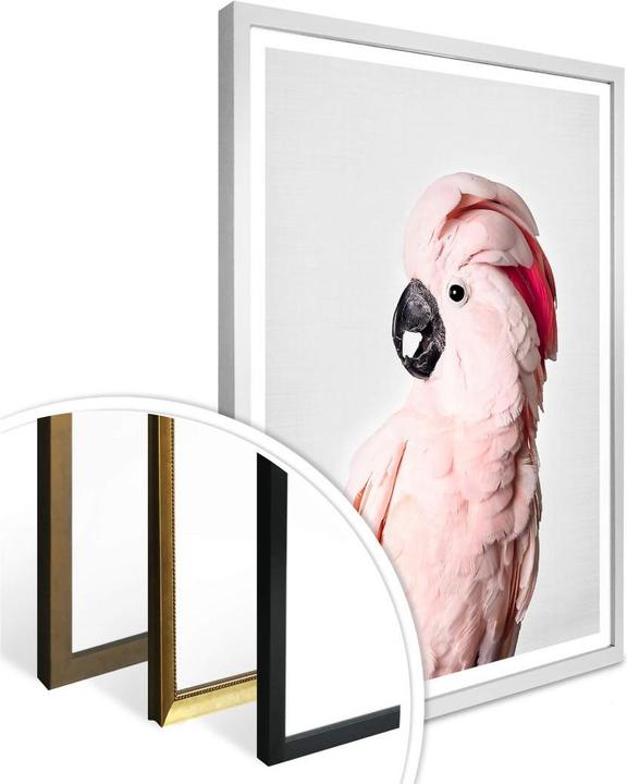 Image du produit Trenddeko Cacatoès rose (30 x 40 cm)