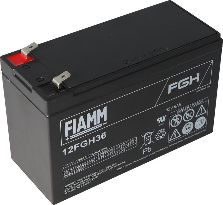 Actual product image Fiamm Akku 12FGH36