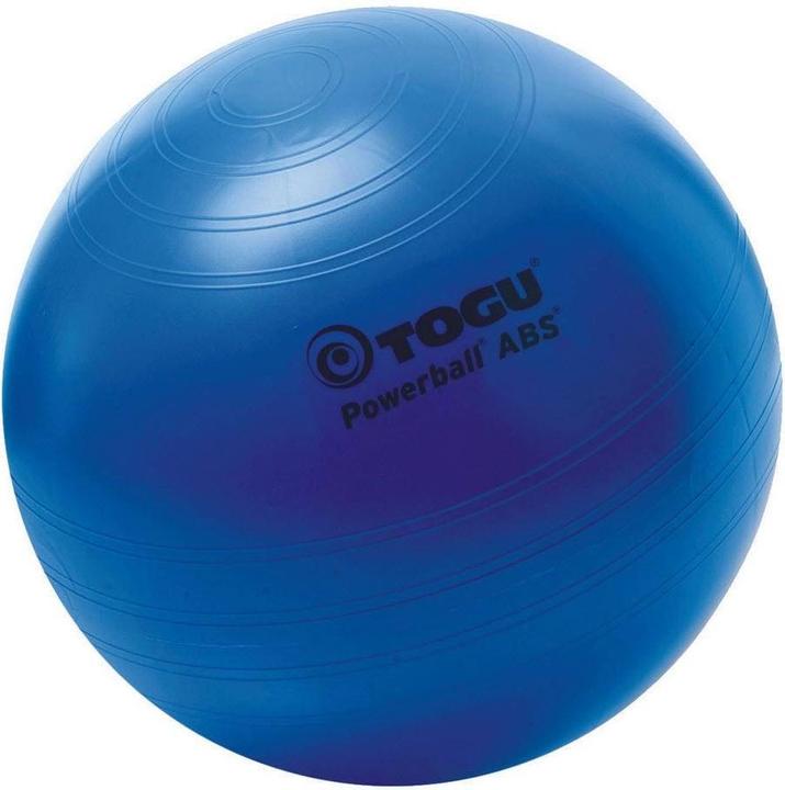 Immagine prodotto Togu Palla a sedere (55 cm)