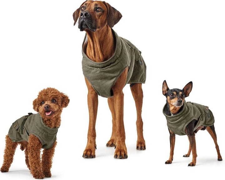 Actual product image Hunter Dog coat Uppsala Trend (55, Dog coat)