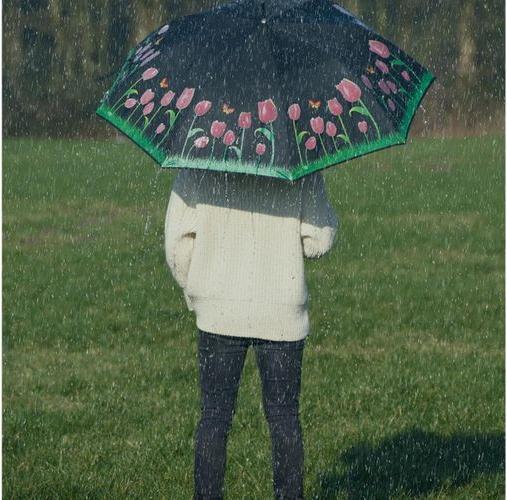 Image du produit Esschert Design Parapluie Tulipes Multicolore