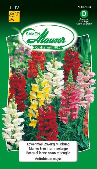Produktbild Samen Mauser Löwenmaul, Zwergmischung (Pflanzensamen)
