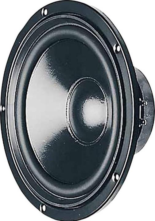 Visaton W 170 S woofer
