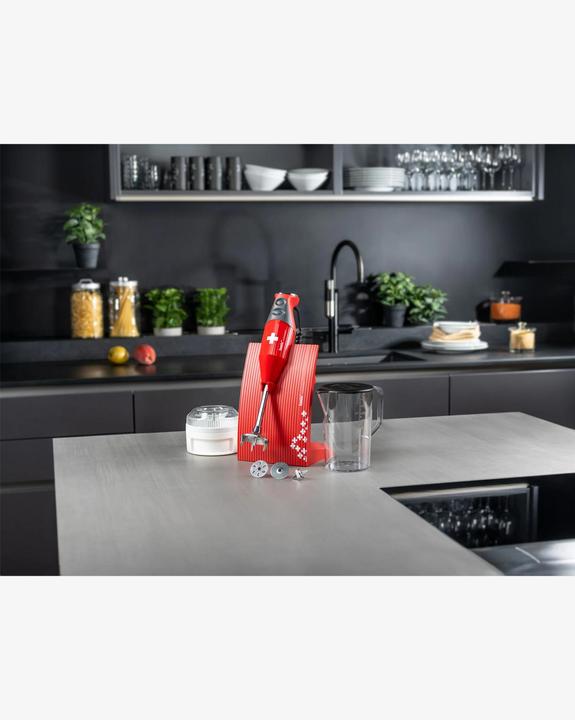 Image du produit Bamix M200 (Fiche CH)