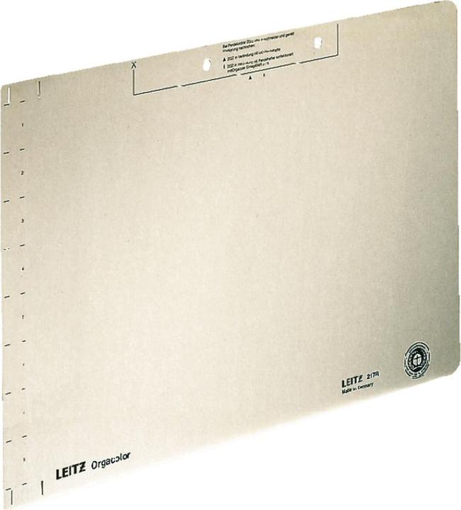 Produktbild Leitz Einlegeblatt (B)323 x (H)224 mm, chamois Kraftkarton, 260 g-qm, Lochung: 80 mm, mit vorstehendem Tab