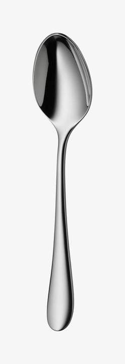 Actual product image WMF Merit (1 Piece, Scoops)