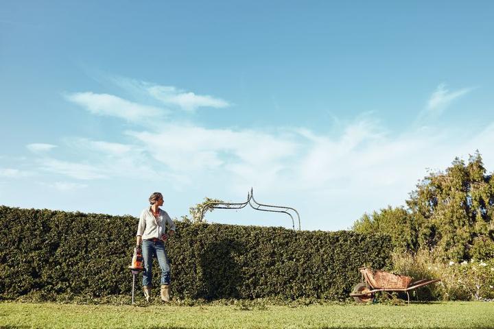 Actual product image Stihl Cordless hedgecutter (Cordless hedgecutters)