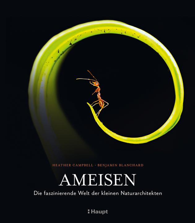 Produktbild Ameisen (Deutsch, Benjamin Blanchard, Monika Niehaus, Heather Campbell, 2024)