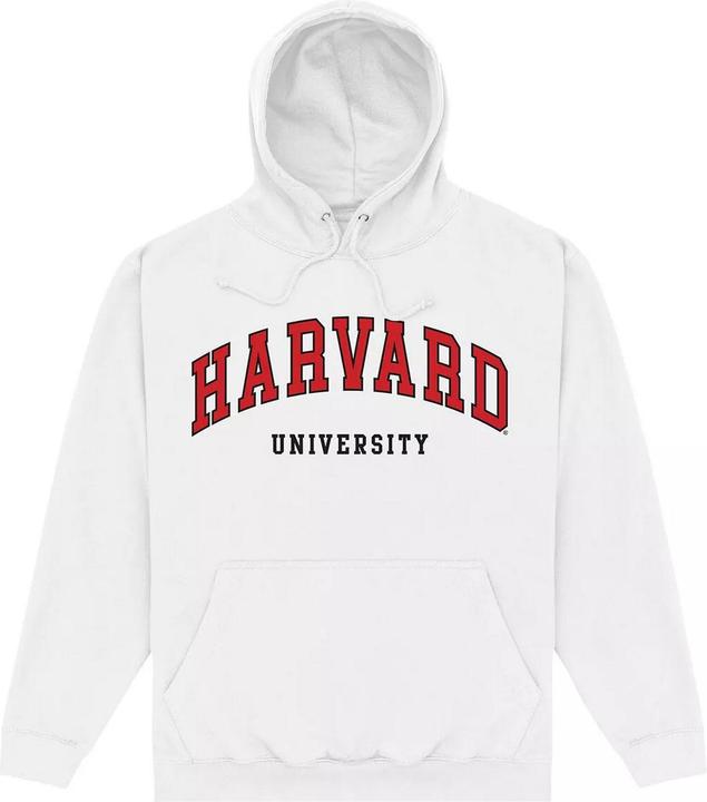 Kapuzenpullover (L)