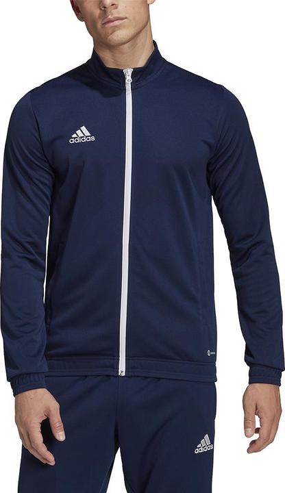 Actual product image adidas Entrada 22 (XXL)