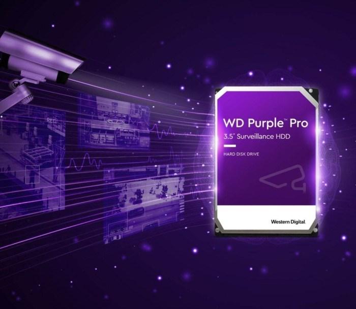 Actual product image WD Purple Pro (10 TB, 3.5", CMR)