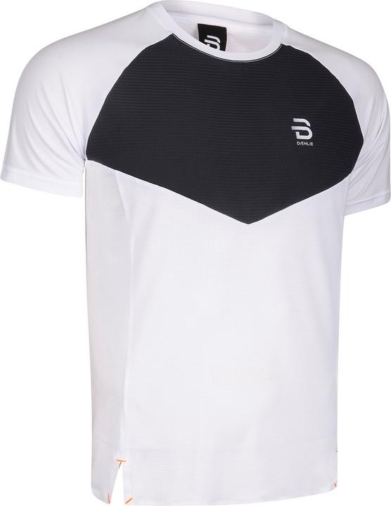 Daehlie M T-Shirt Run 365