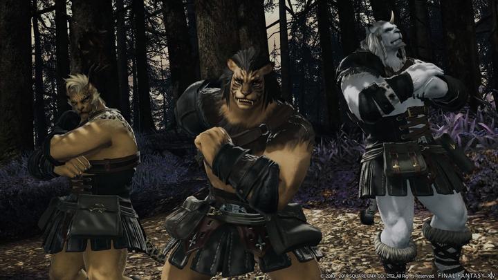 Immagine prodotto Square Enix Final Fantasy XIV: Shadowbringers PS4 (PS4, DE)