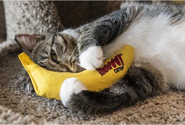 Actual product image Yeowww Banana 18cm filled with catnip (Catmint toy)