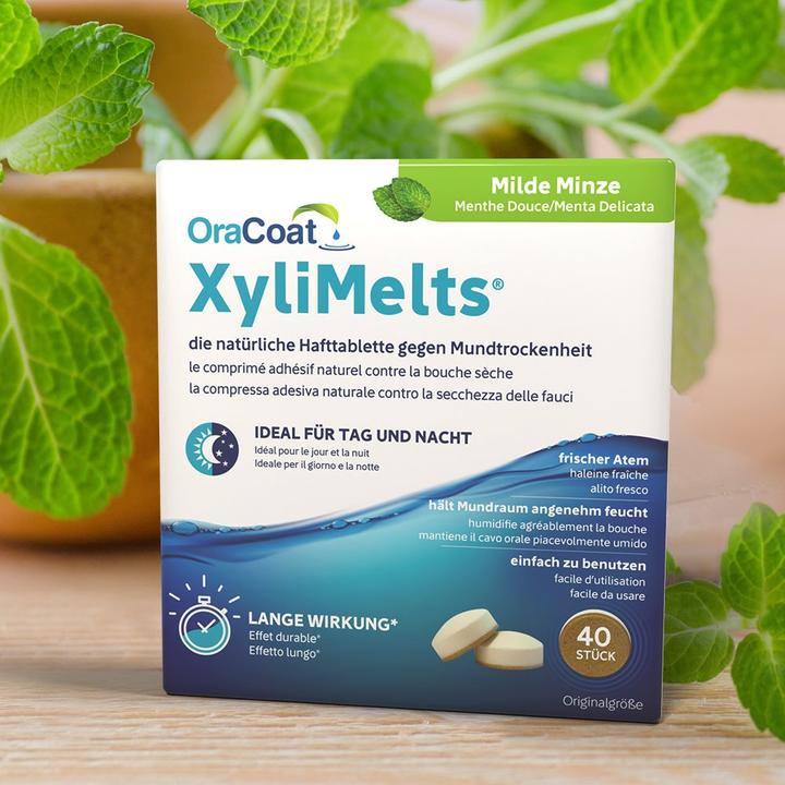 Actual product image Xylimelts Hafttabletten gegen Mundtrockenheit milde Minze (40 x, 270 ml, 59 g)