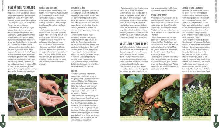 Produktbild Ackerhelden - Biogärtnern für Einsteiger (Deutsch, Ackerhelden GmbH, 2022)